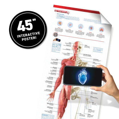 Human Body! Dk Book & Virtual Reality Learning - Stem Projects