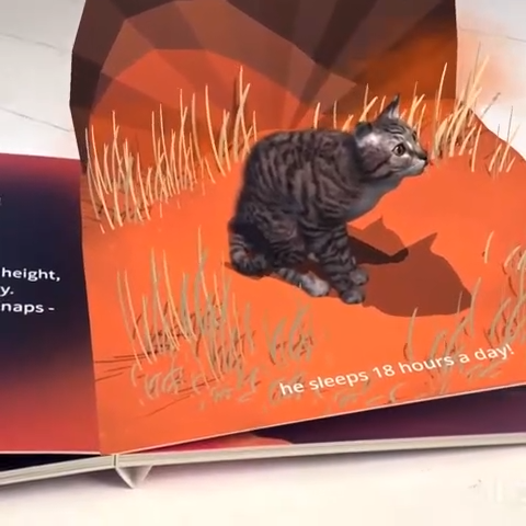 Pet Party - Holographic Interactive Storybook